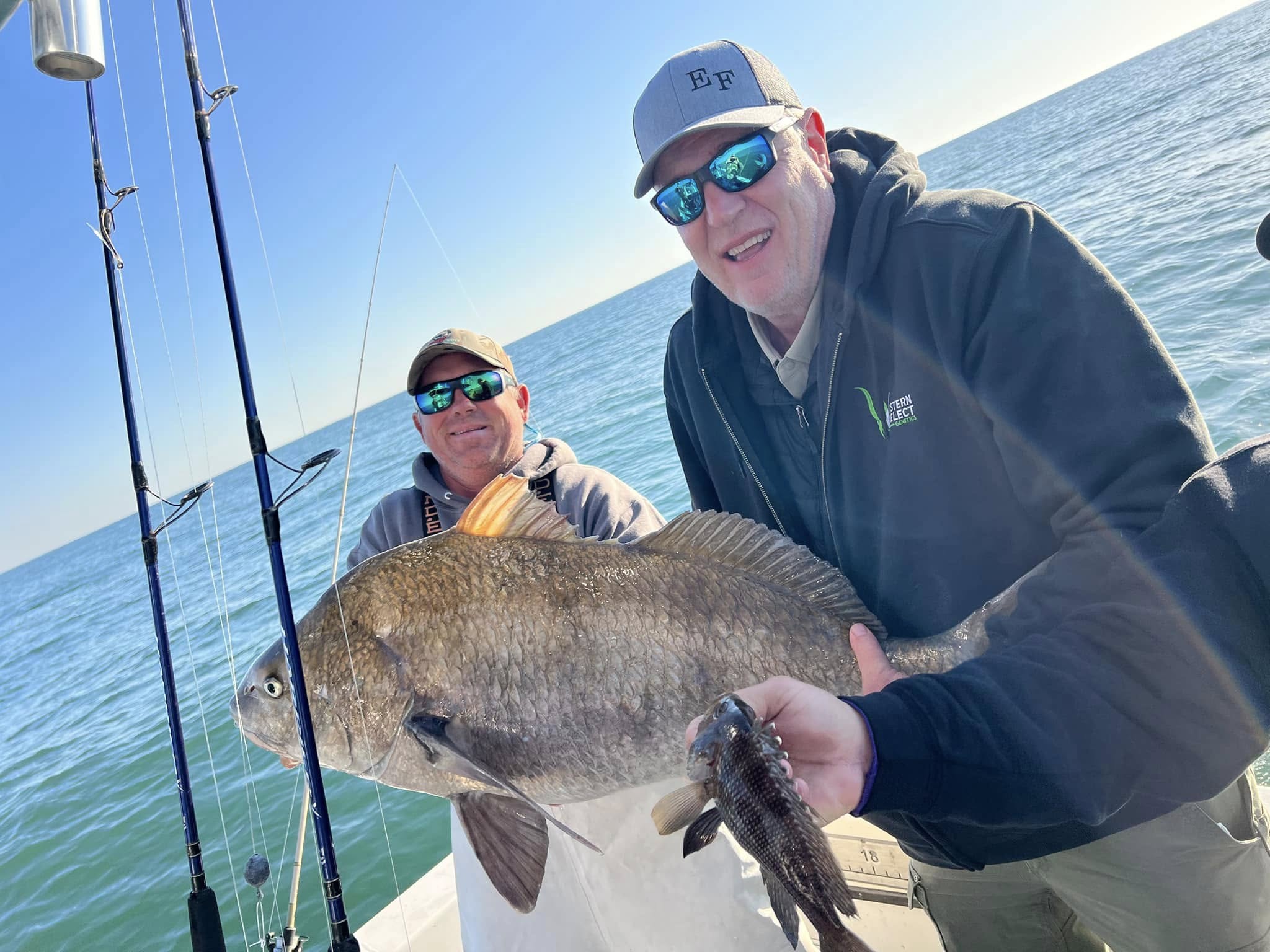 Charleston Fishing Catch