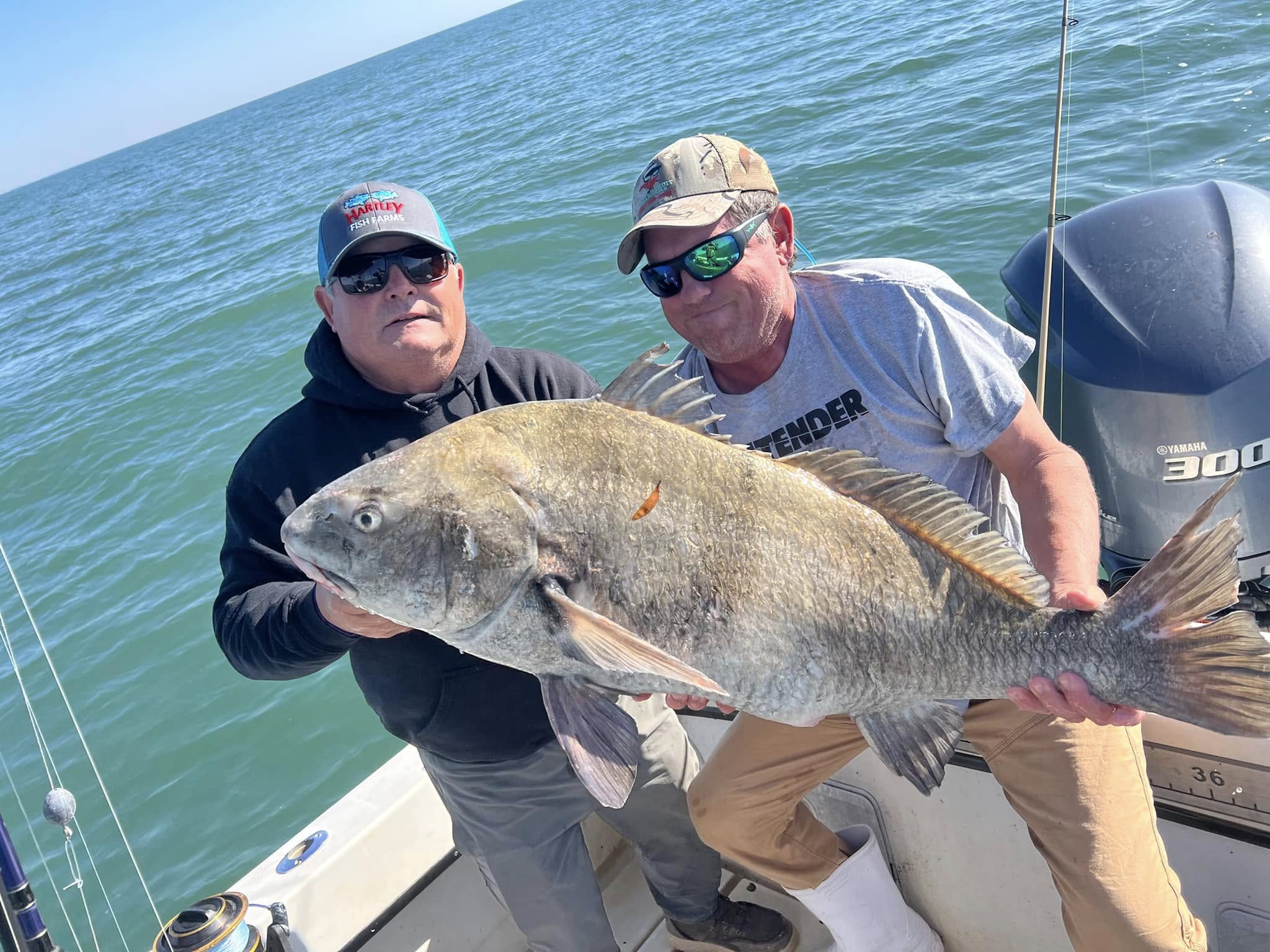 Charleston Fishing Catch